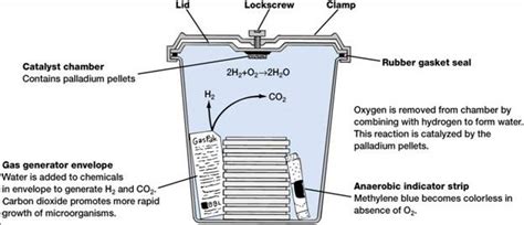 gaspak anaerobic jar|gaspak envelope.